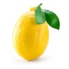 citrons