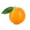 orangesm